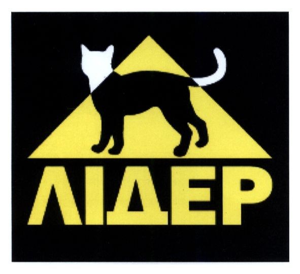 лідер