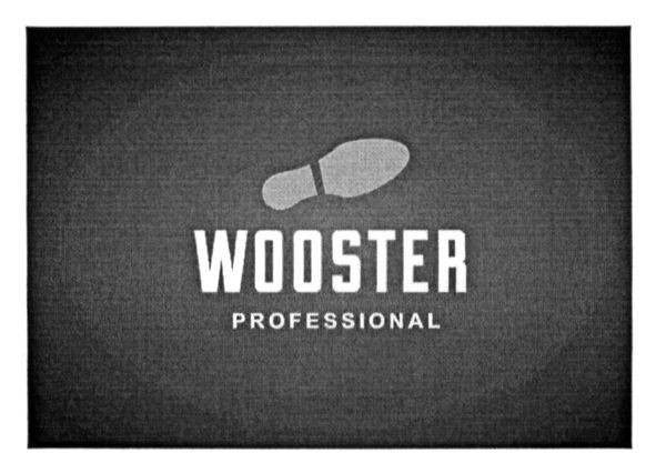 wooster professional