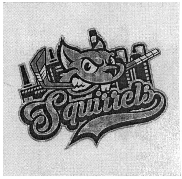 squirrels