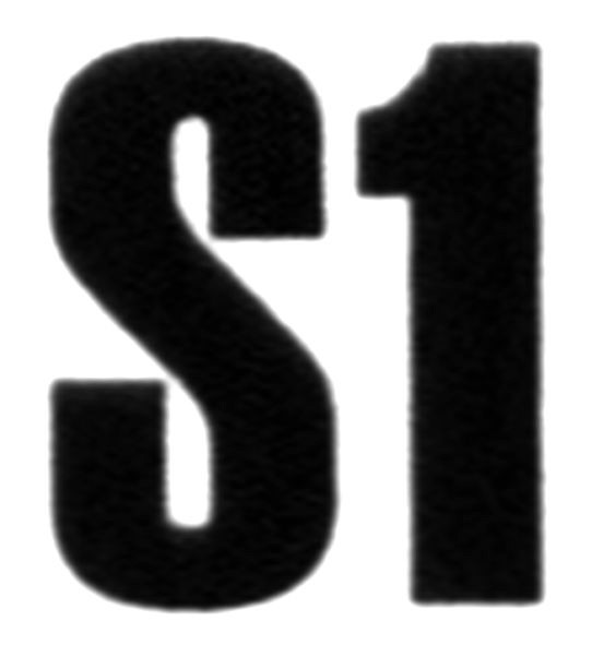 s1