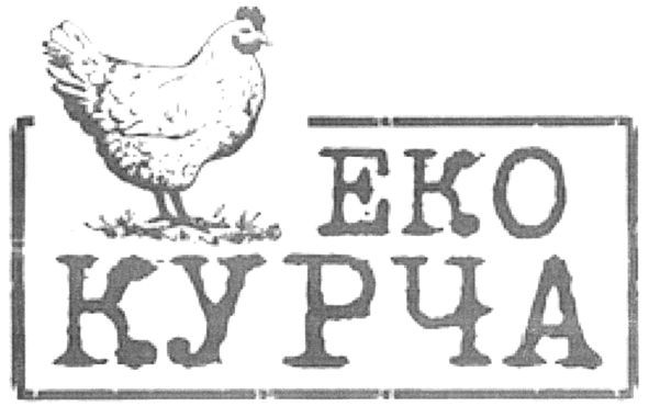 еко курча