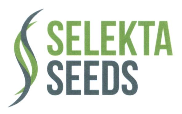 selekta seeds