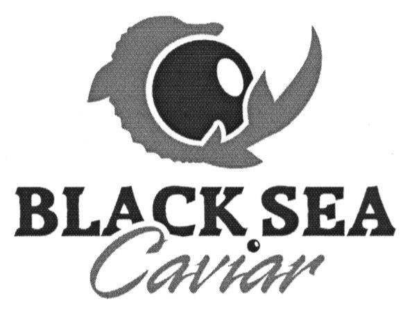 black sea