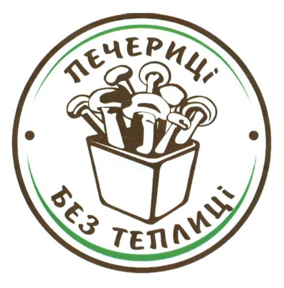 печериці без теплиці