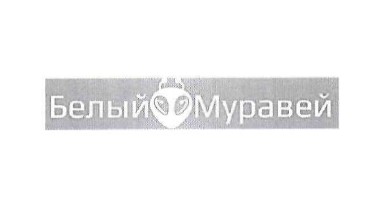 белый муравей