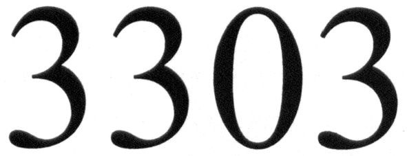 3303
