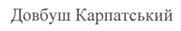 довбуш карпатський