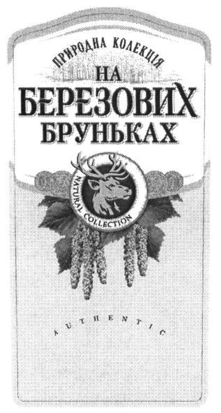 природна колекція на березових бруньках