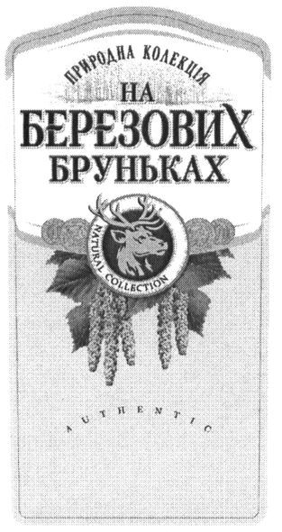 природна колекція на березових бруньках