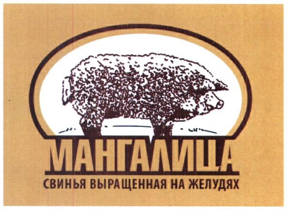 свинья выращенная на желудях