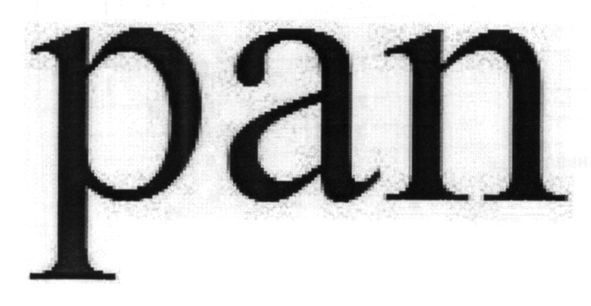 pan