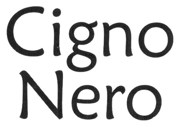 cigno nero