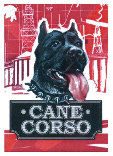 cane corso