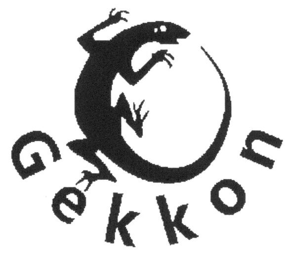 gekkon