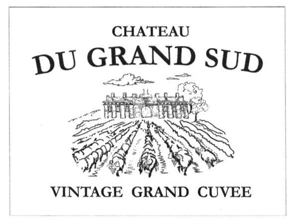 chateau du grand sud