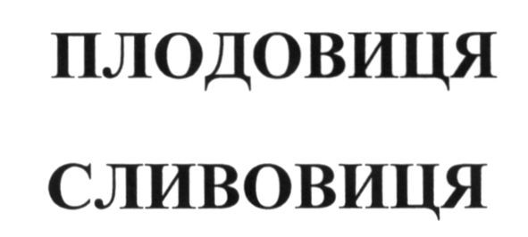 плодовиця сливовиця