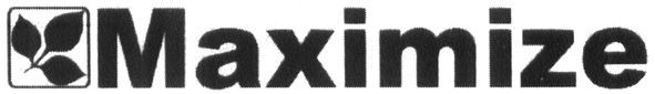 maximize