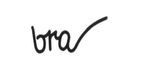 bra