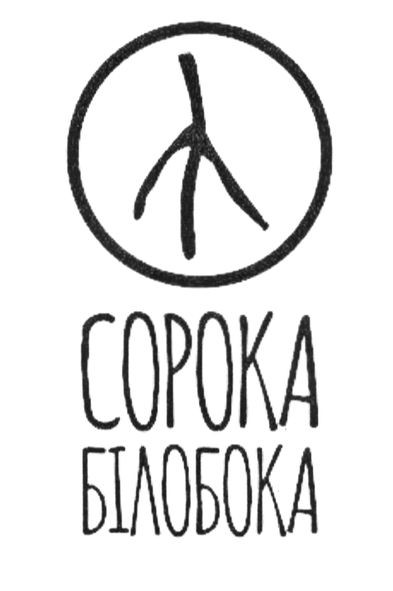 сорока білобока