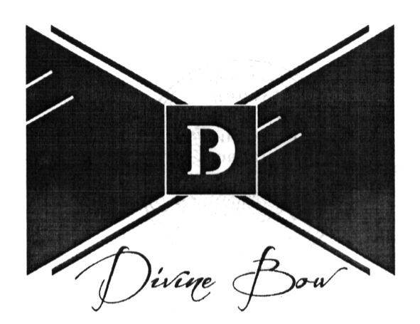 divine bow