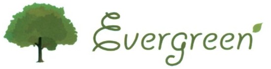 evergreen