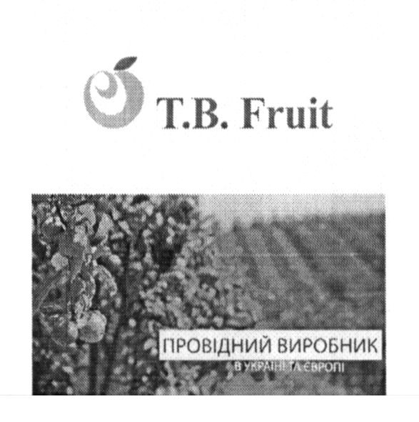 провідний виробник в україні та європі