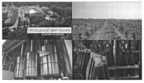 провідний виробник в україні та європі