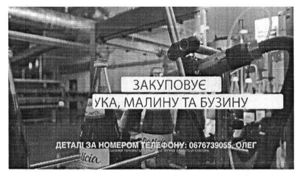 закуповує яблука, малину та бузину
