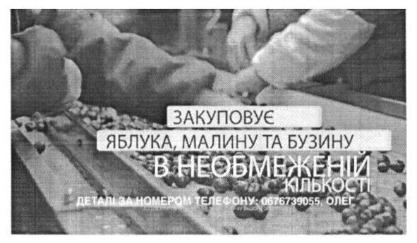 закуповує яблука , малину та бузину в необмеженій кількості