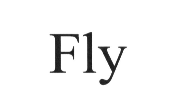 fly