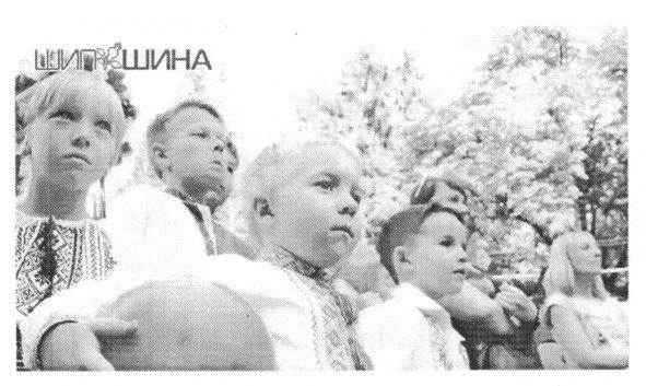 шипшина