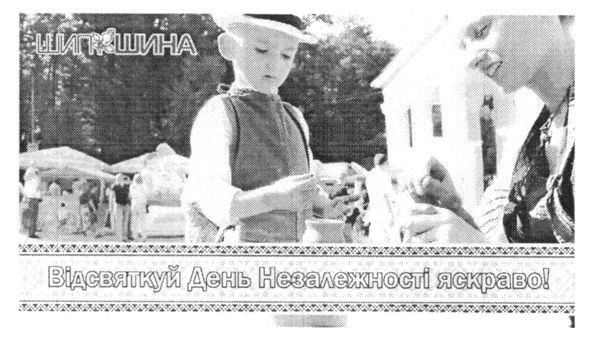 шипшина