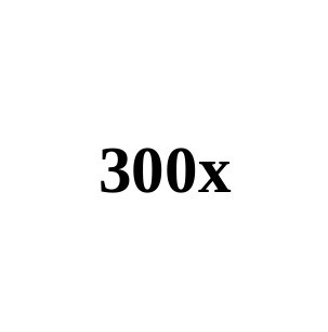 300x