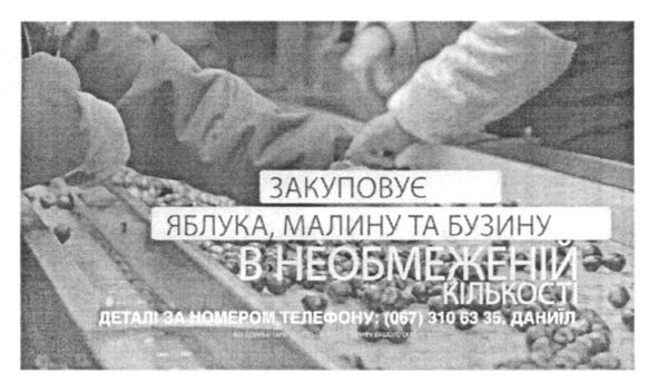 закуповує яблука, малину та бузину в необмеженій кількості