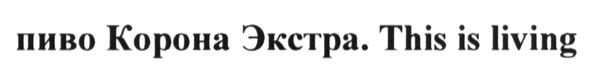 пиво корона экстра. this is living
