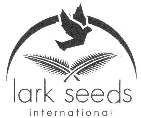 lark seeds international