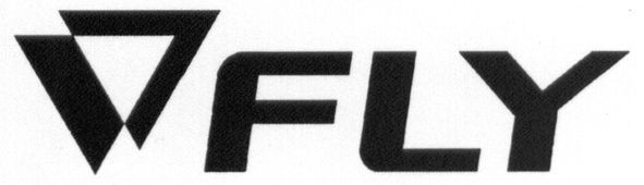 fly