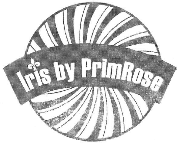 iris by primrose