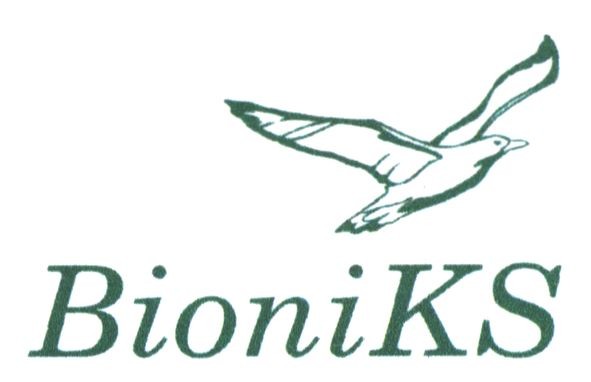 bioniks