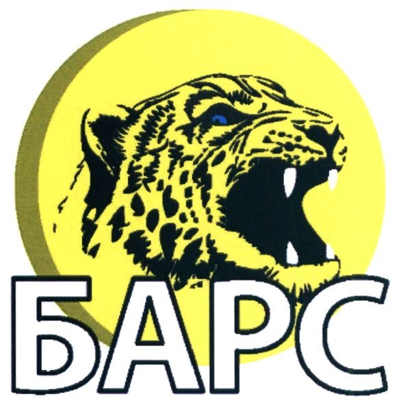 барс
