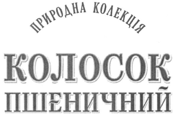 природна колекція колосок пшеничний