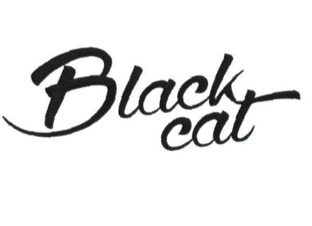 black cat