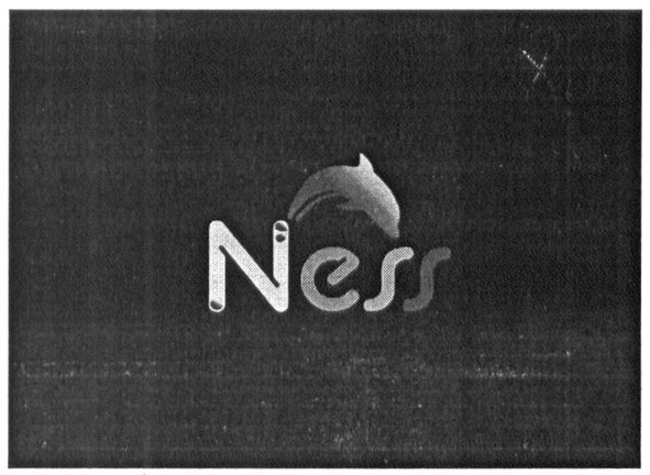 ness
