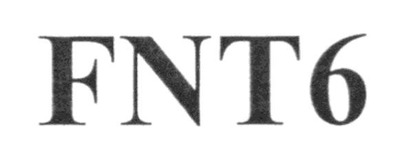 fnt6
