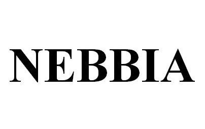 nebbia