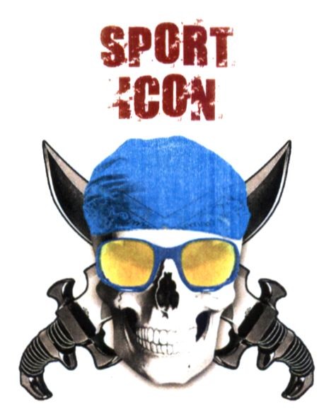 sport icon