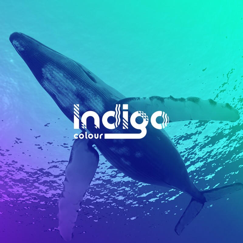 indigo colour