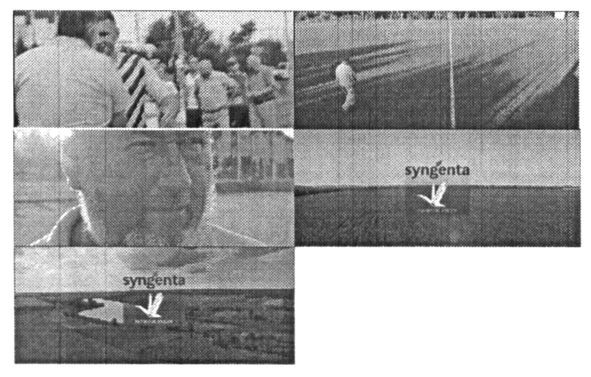 syngenta
