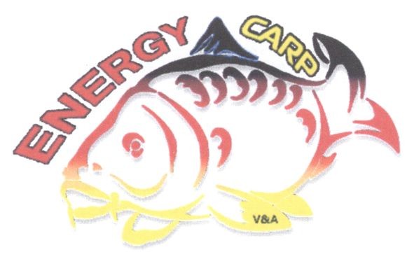 energy carp