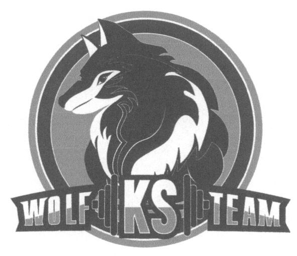 Лого ТМ ks